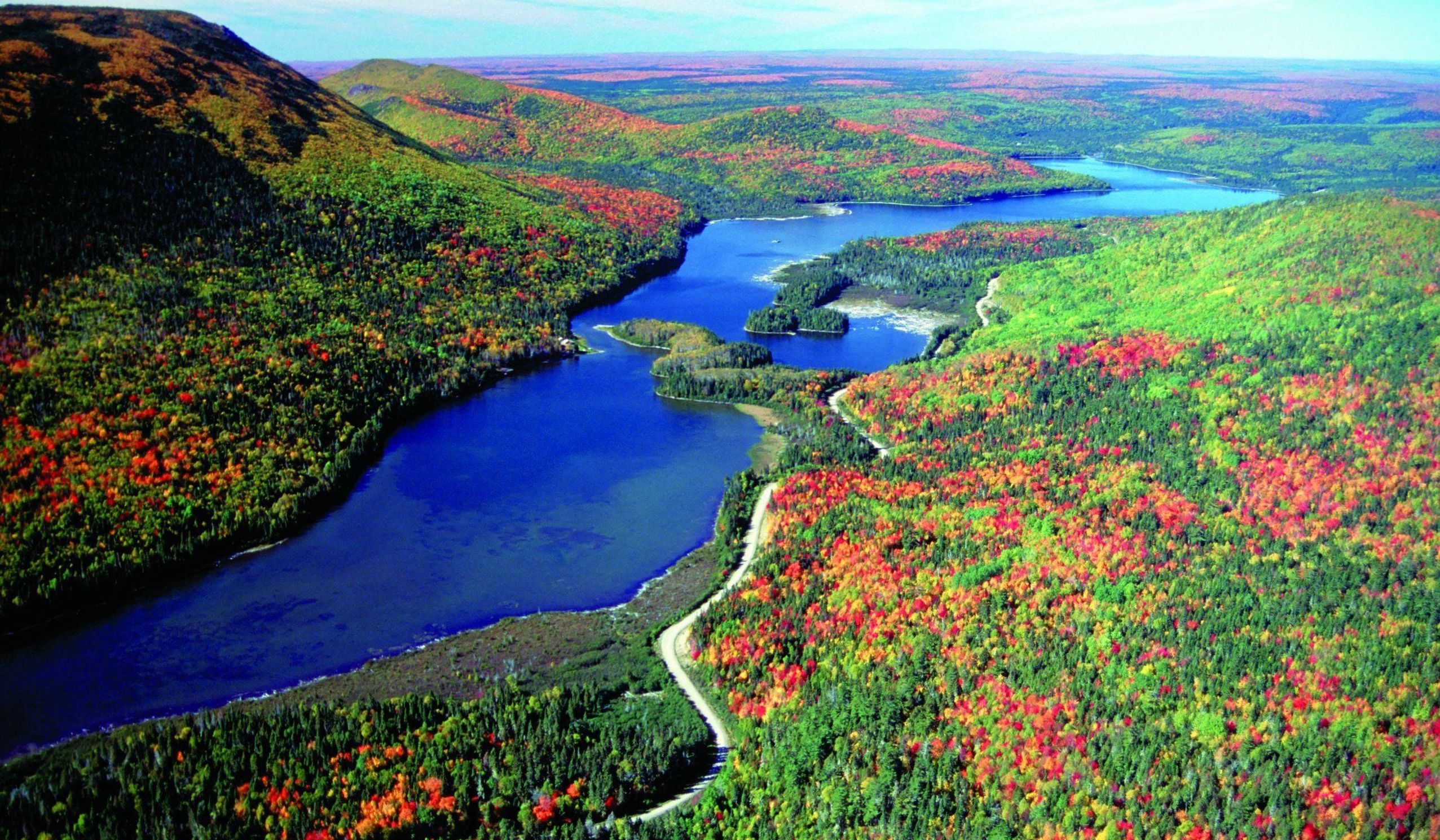 Odoo - Sample 1 for three columns