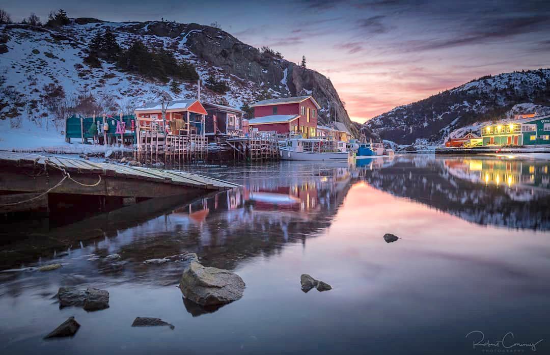 Odoo • Image and Text